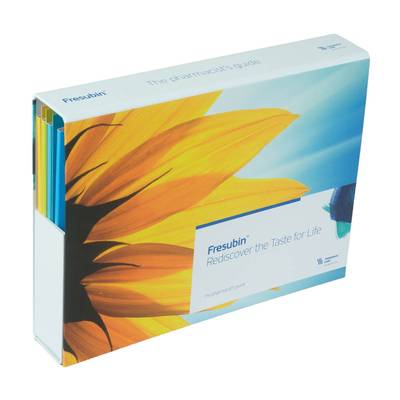 Fächerbox mit Registermappen 04-fach
