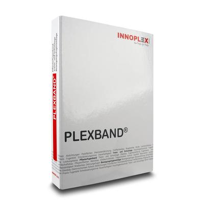 Einschubbox  Plexband