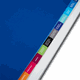 Register 12-fach Betriebliche Altersvorsorge